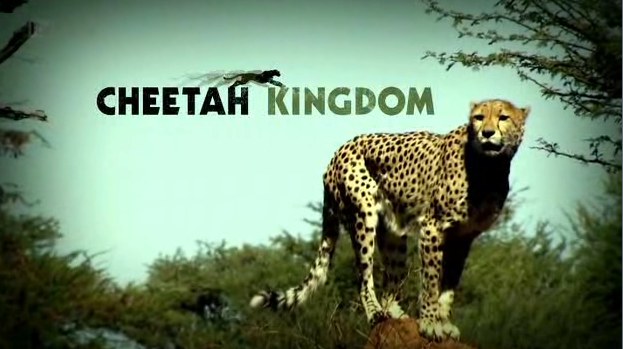 ITV1：猎豹王国
